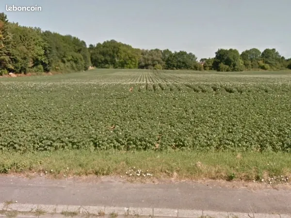 Terrain 733 m² Vitry En Artois