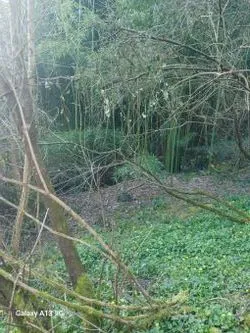 AMOUREUX DE LA NATURE, Terrain de loisirs