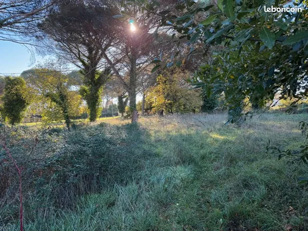 Terrain 1 072 m² Langon