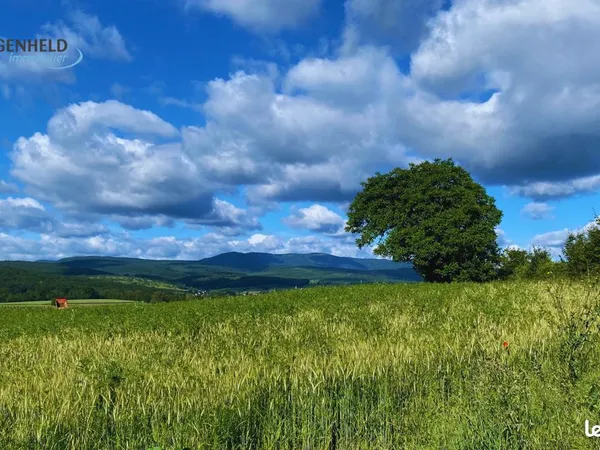 Wasselonne Terrains à bâtir