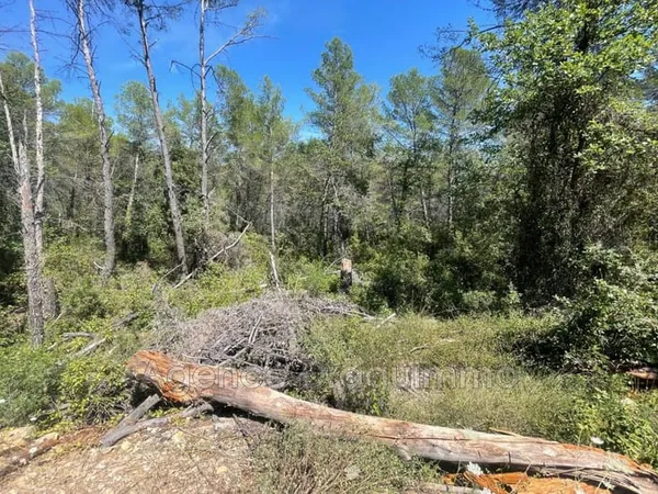 Vente terrain non constructible
