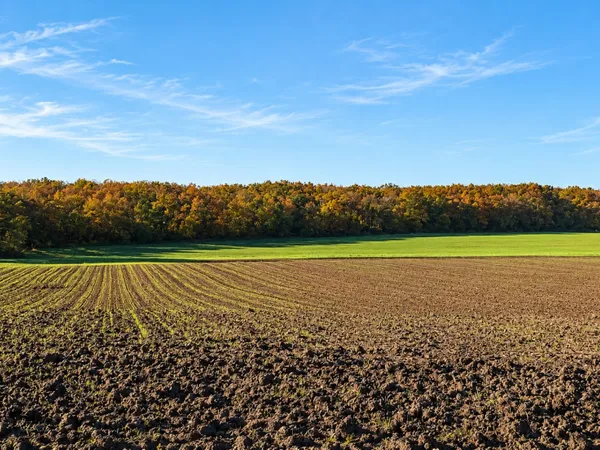 Terrain agricole 800000 m²