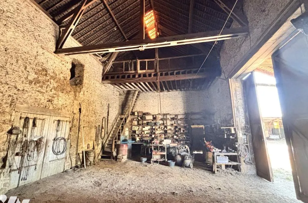 Photo 14