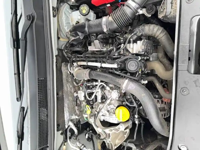 Dacia Jogger tce 110 5 places — photo 27