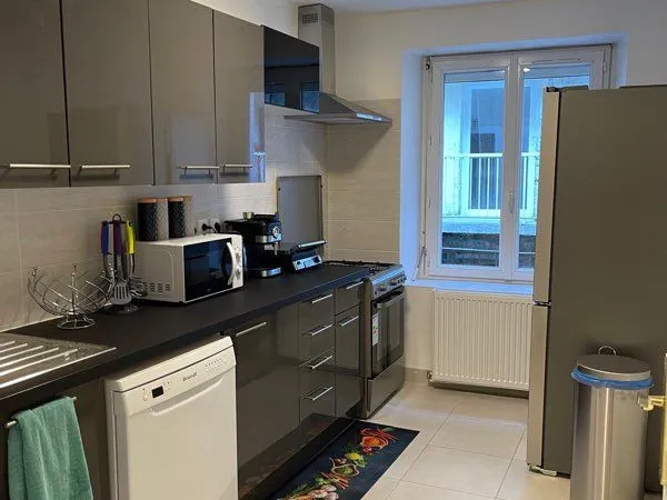 Appartement T3 entièrement rénové et meublé-centre ville