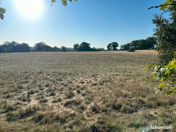 Terrain agricole de 12ha
