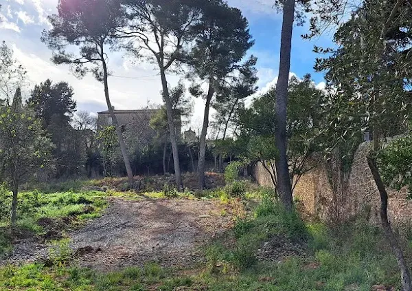 Terrain 900 m²