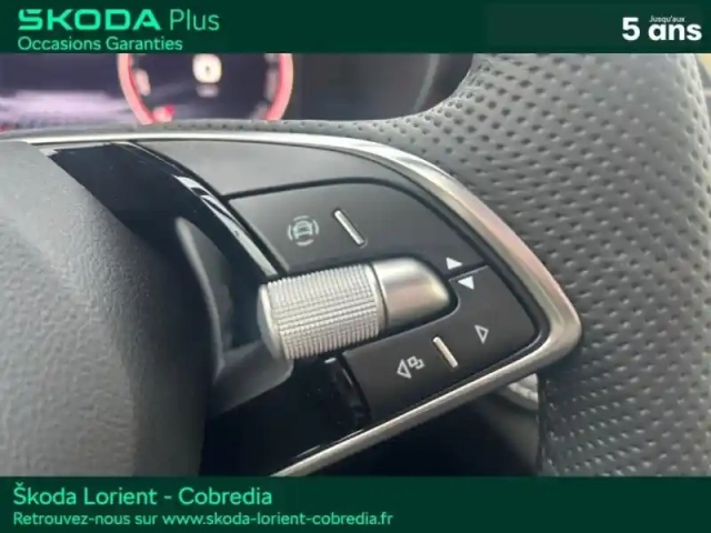 Skoda Fabia 1.0 tsi evo2 95ch monte carlo — photo 15