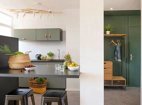 Loue T3 56m² Lyon 5ème/tassin - Tassin-la-Demi-Lune (69) pour colocation
