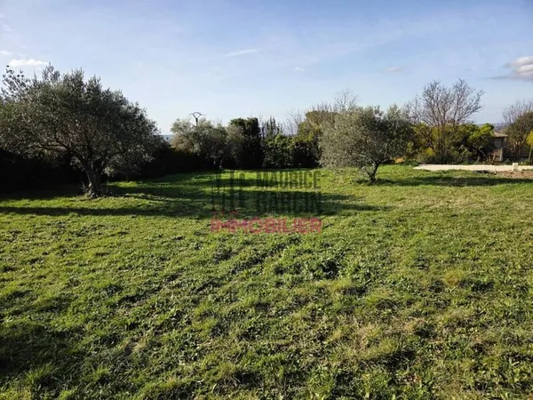 Terrain 770 m²