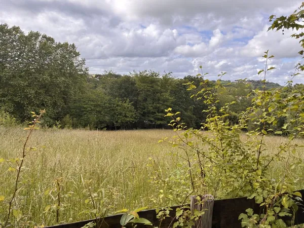 Grand terrain constructible de 1 299 m2 - Hors lotissement