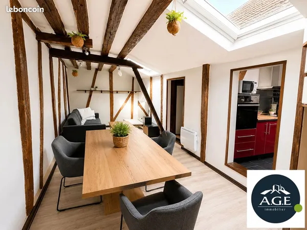 Loft 2 pièces 50 m²