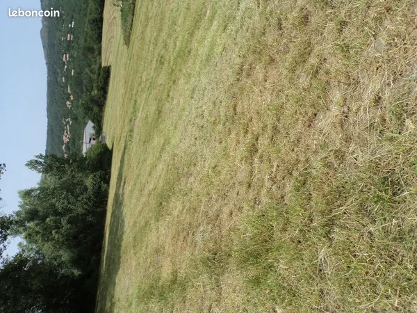 Terrain constructible