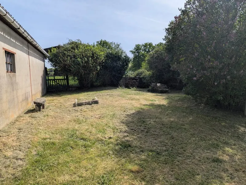 Photo 19