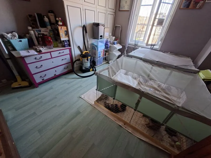 Photo 10