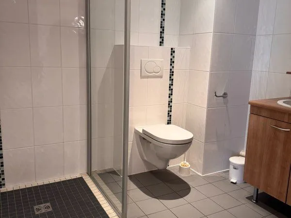 Appartement Location Saint-Avold 1p 48m² 580€
