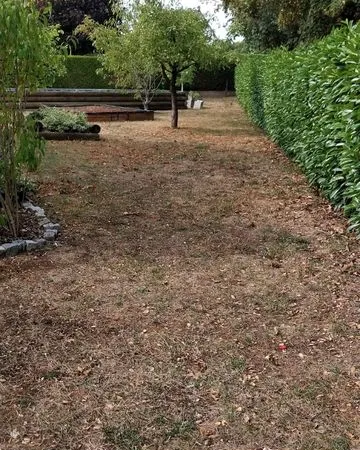 Terrain à bâtir