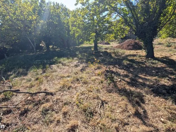 Terrain 798 m² Causse-de-la-Selle