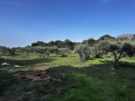 Terrain 1764 m²
