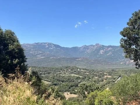 Terrain 8400 m²