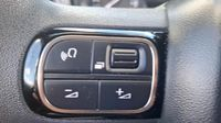 Citroen C3 1.5 BlueHDi 100ch S&S YOU — photo 14