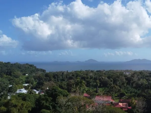 Terrain 1777 m²