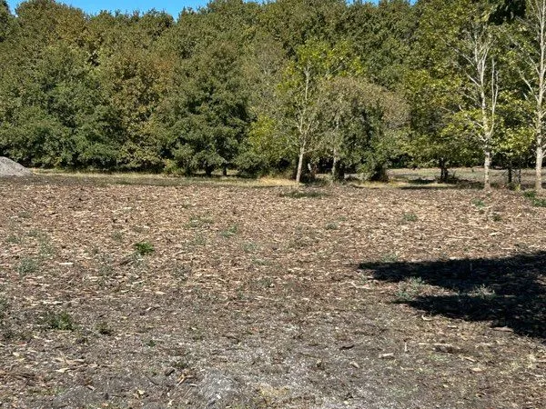 Terrain 1000 m2