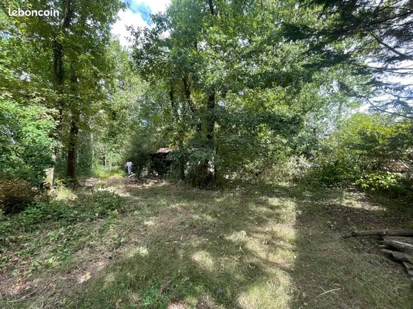 Terrain boisé en bordure de forêt constructible