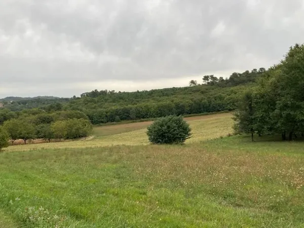 Terrain 1399 m²