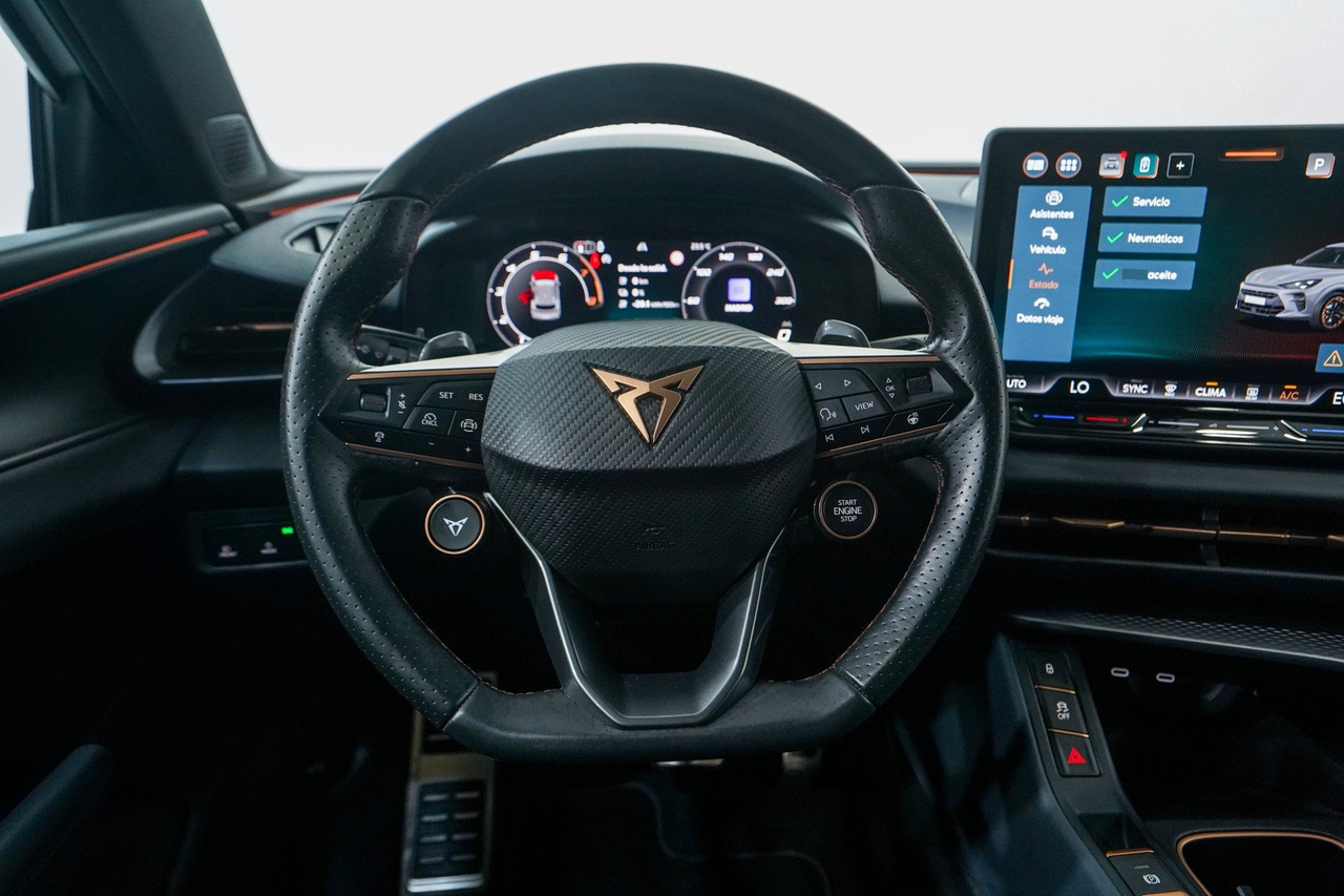 Cupra Terramar — photo 19