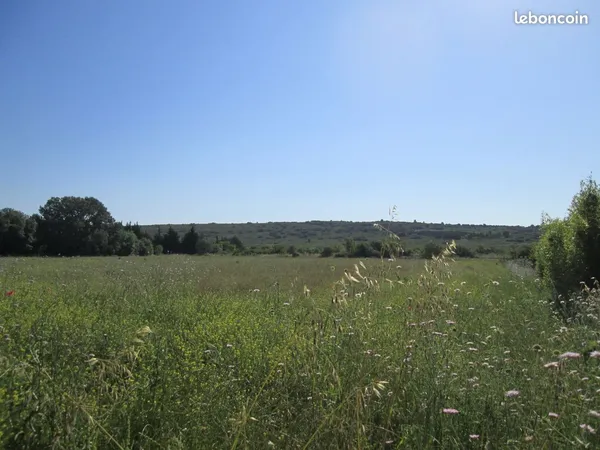 Terrain 14500 m²