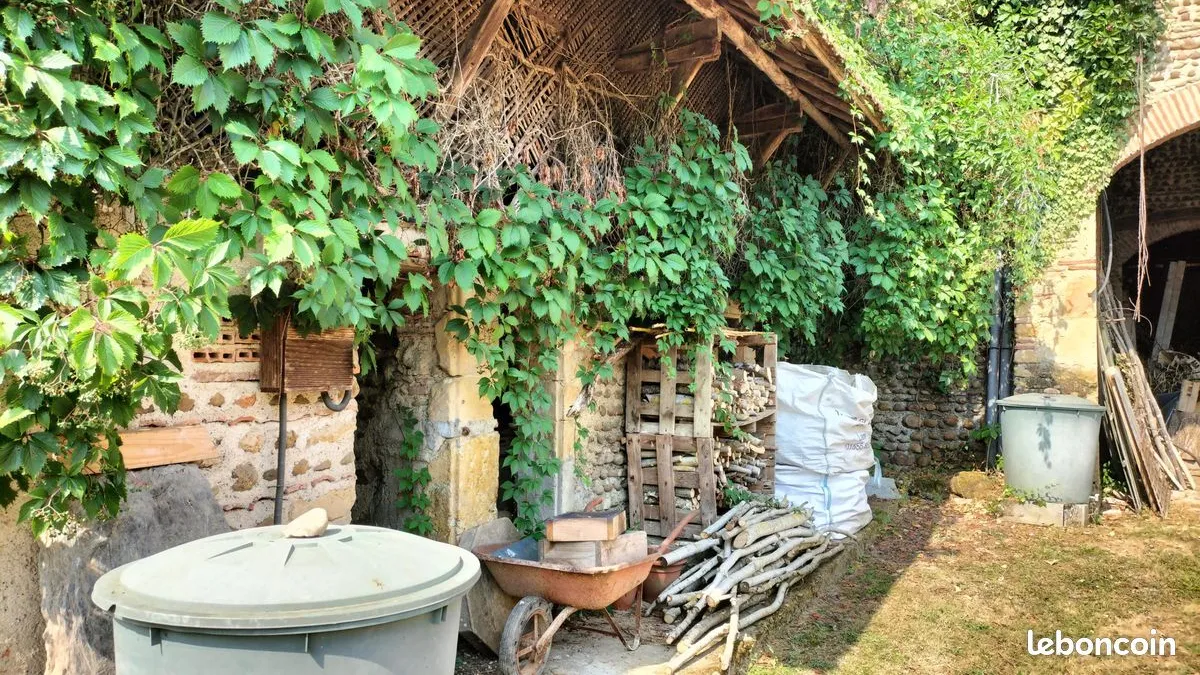 Photo 16