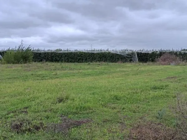 Terrain 672 m²