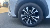 Lexus Nx 300h 4WD F SPORT Executive MM19 — photo 20