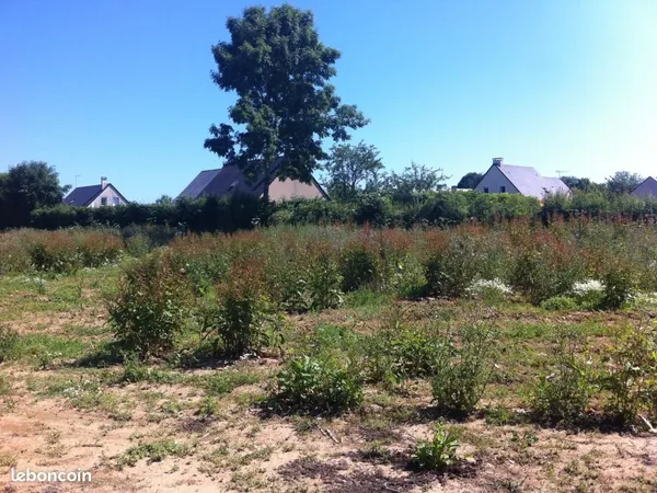 Terrain 516 m² Saint Contest