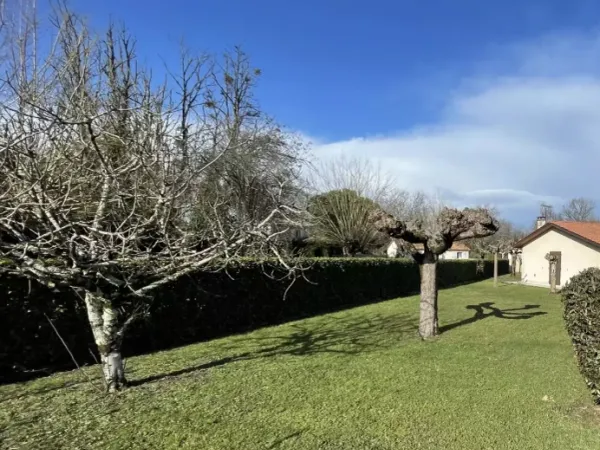 Maison neuve 4 pièces 80 m²