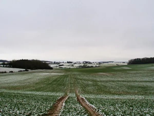 Chemin rural ou chemin d'exploitation : à qui appartient le chemin qui dessert votre maison ? Le guide 2026