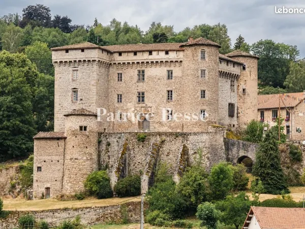 Château 20 pièces 760 m²