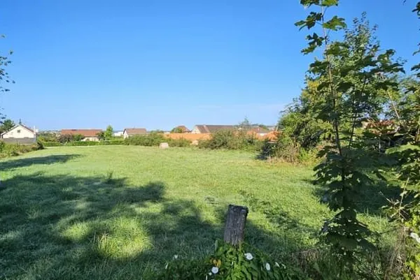 Beau terrain borné, cadastré et non viabilisé à Cusset