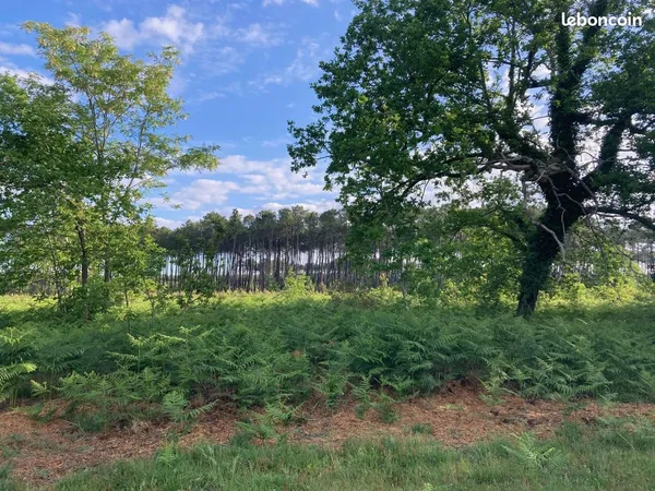 Terrain à bâtir de 500 m² à SANGUINET (40)