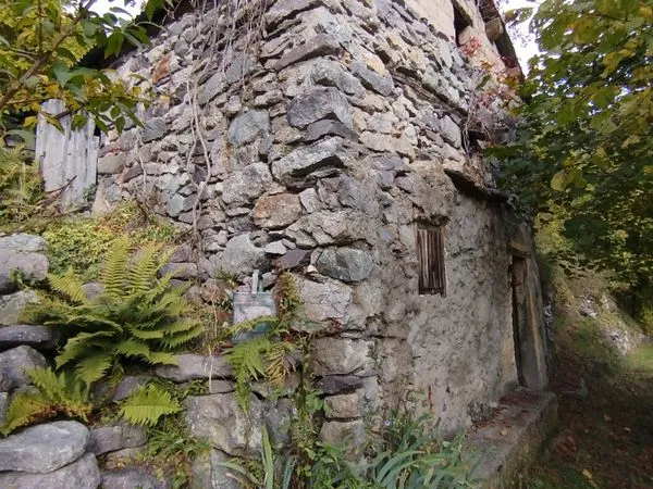 Bien agricole et foncier Vente Belvédère 21p 25m² 10000€