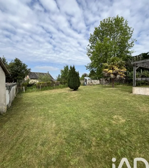 Photo 15