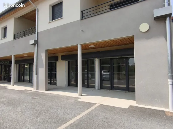 Local professionnel a louer