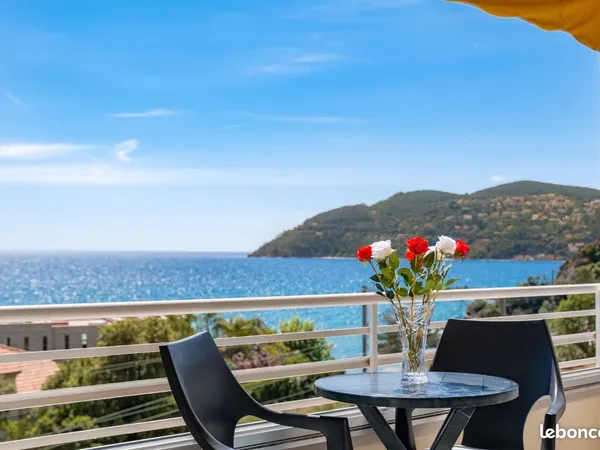 Libre de suite pour plusieurs mois beau et grand studio meuble bord de mer proxi cannes