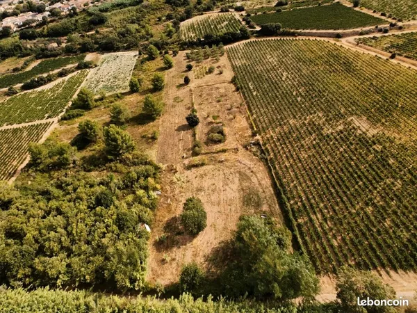 Terrain agricole