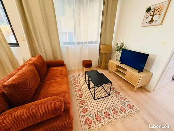 T2 spacieux meublé de 45m2 , hypercentre Albi, très clair et au calme