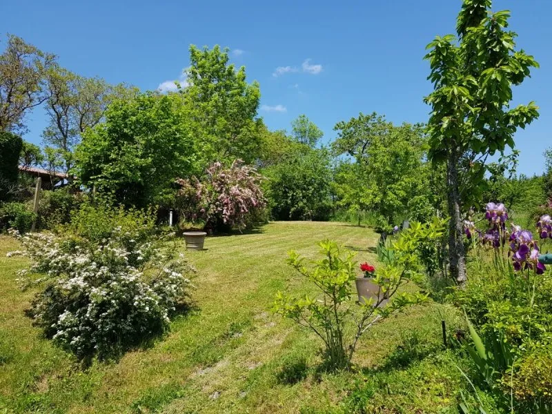 Photo 4