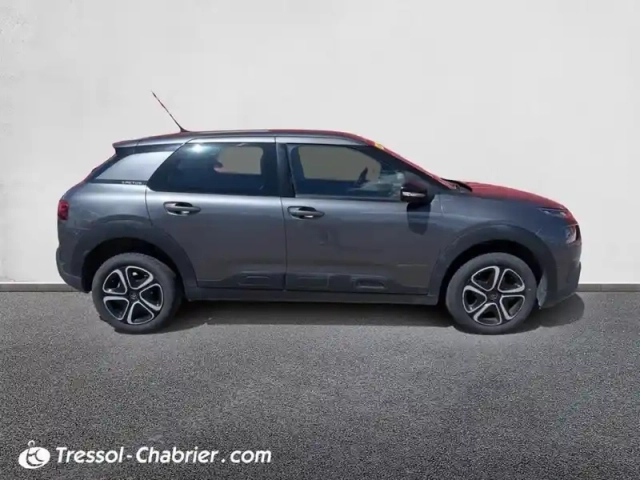 Citroën C4 cactus bluehdi 100 s&amp;s bvm6 shine — photo 12