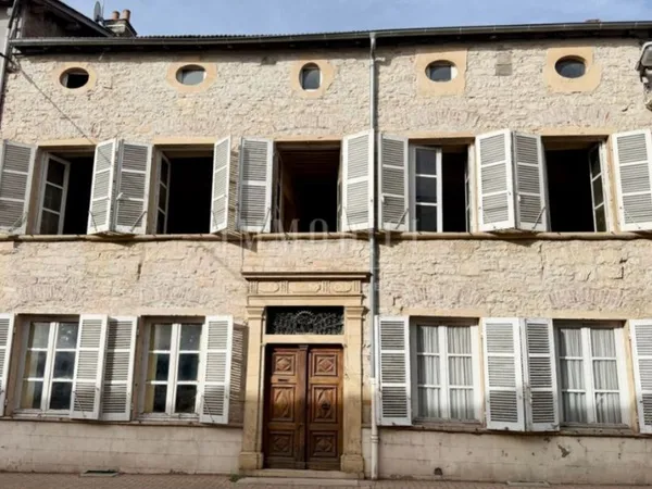 Vends hôtel particulier