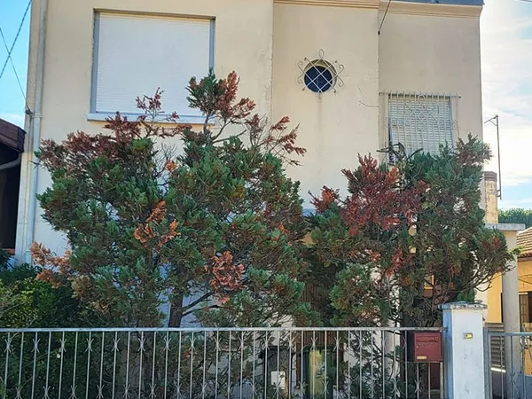 BORDEAUX CAUDERAN Secteur Mondésir Maison 4 pièce(s) 99 m2 garage, stationnement et jardin